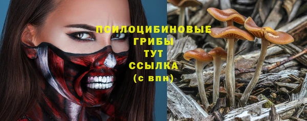 соль курить ск Абаза