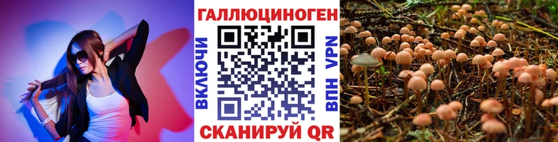 дарк нет состав Камышлов Псилоцибиновые грибы MAGIC MUSHROOMS