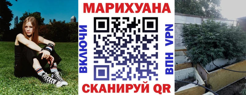 Бошки марихуана THC 21%  Камышлов 